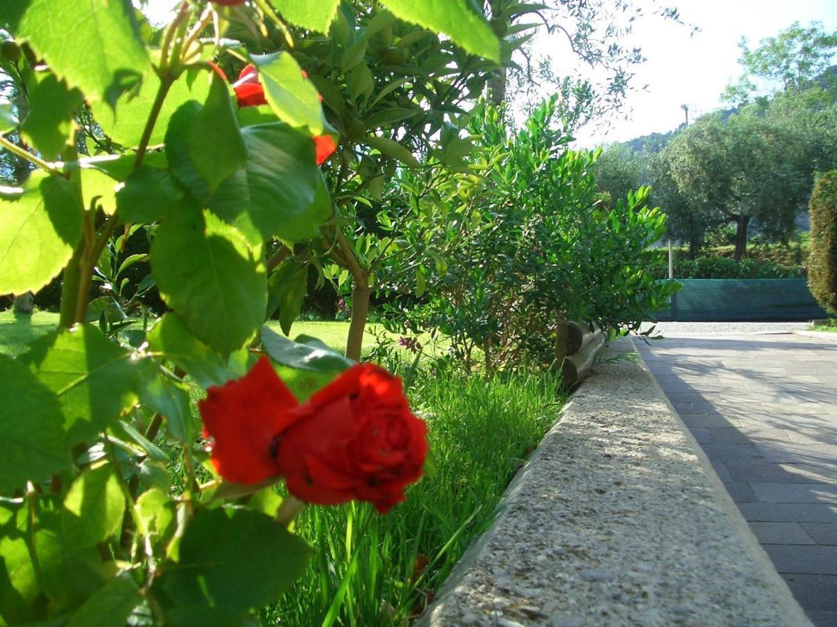 Hotel Villa Verde Torbole Sul Garda Екстер'єр фото